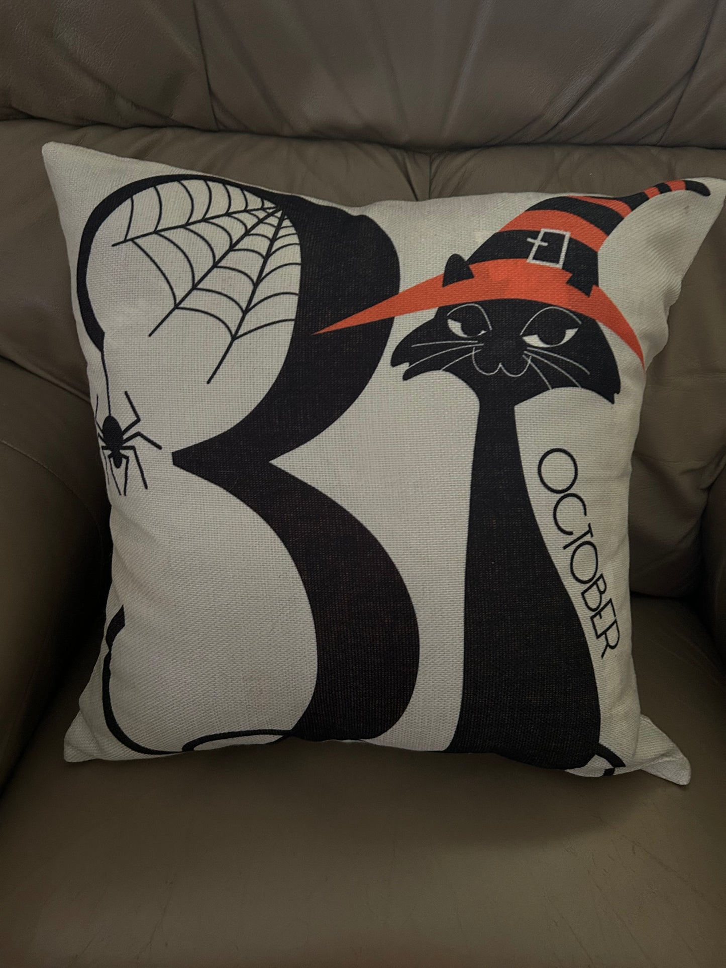 Halloween pillow October 13 Black cat witch