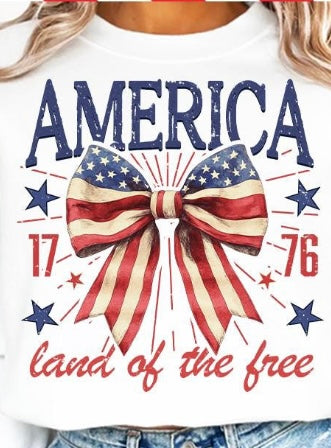America 1776 land of the free Fourth of July T-shirt