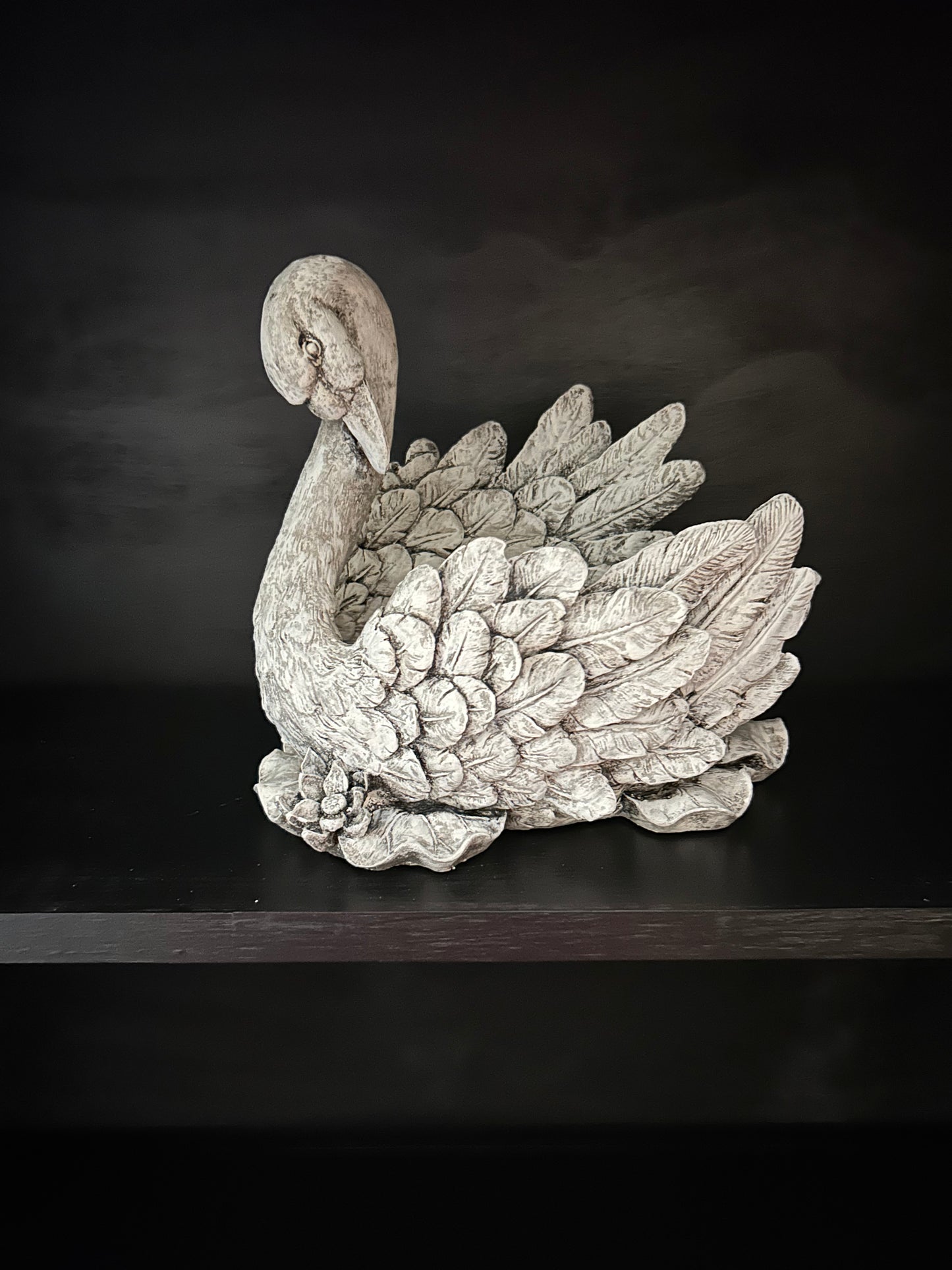 Swan plant holder