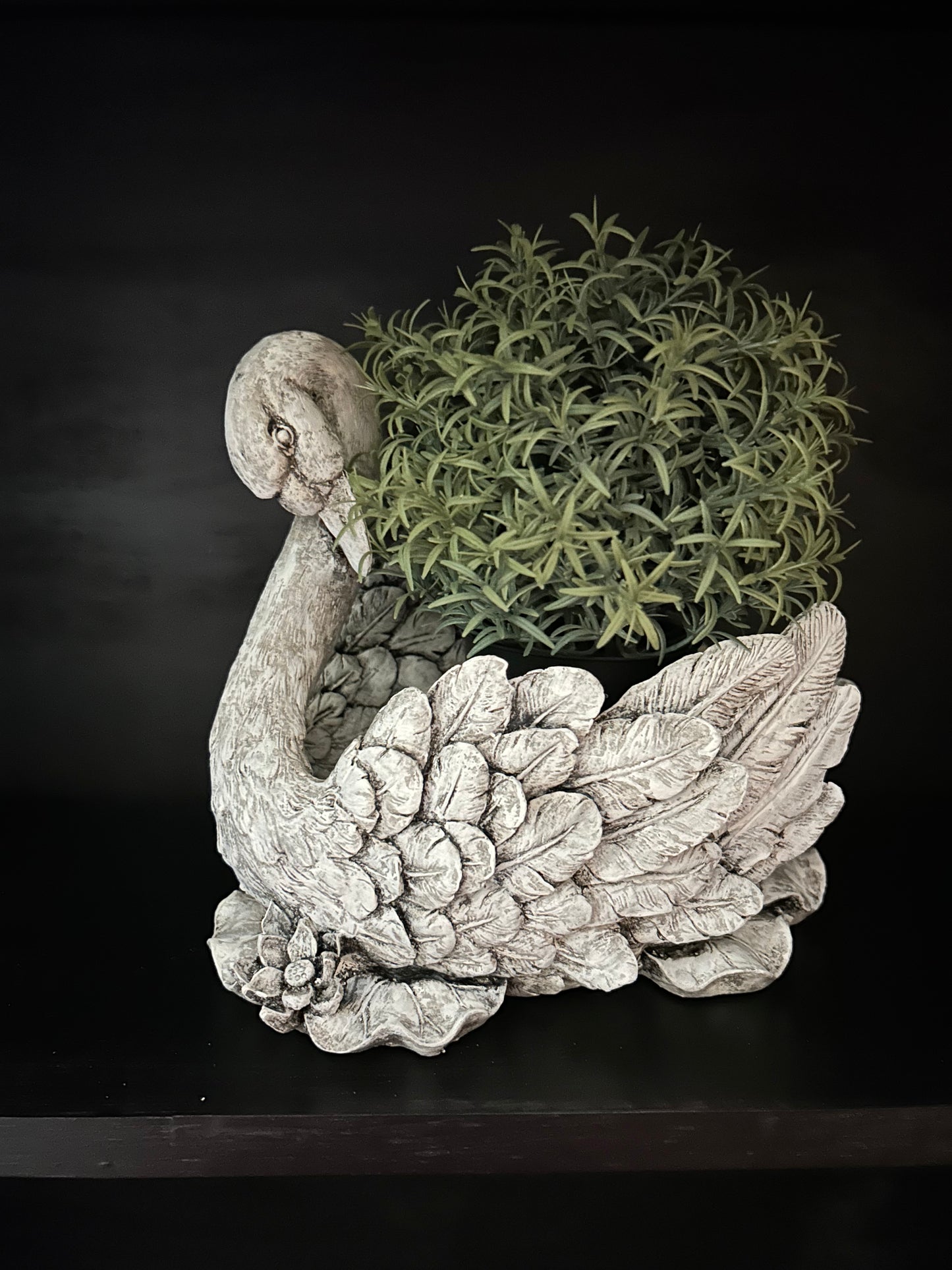 Swan plant holder