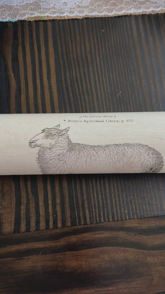 Farmhouse sheep rolling pen